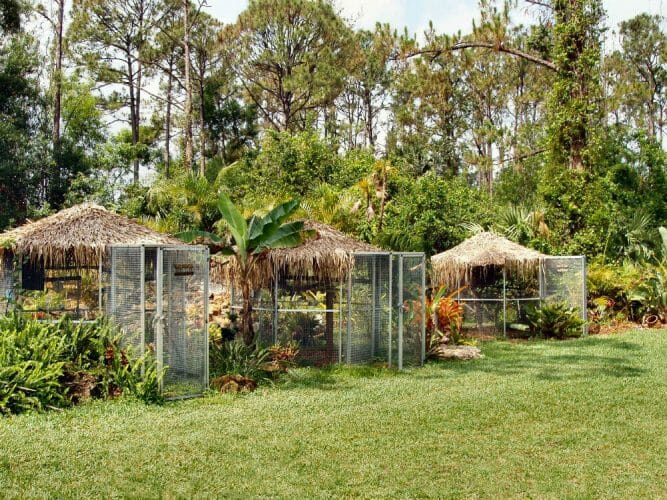 Custom Monkey Cages CAGEMASTERS