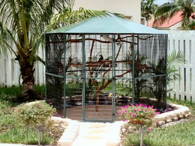 Custom Aviaries & Bird Cages CAGEMASTERS