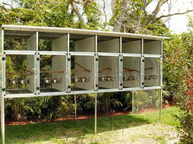 Custom Monkey Cages CAGEMASTERS