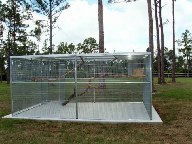 Custom Monkey Cages CAGEMASTERS