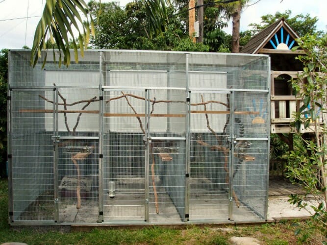 Custom Monkey Cages CAGEMASTERS