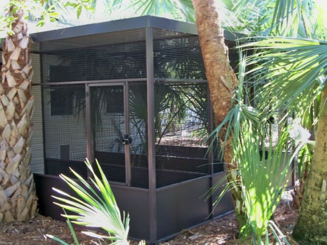 Custom Monkey Cages CAGEMASTERS