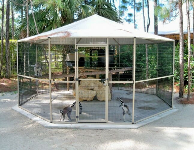 Custom Monkey Cages CAGEMASTERS
